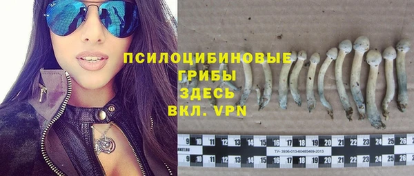 гидропоника Баксан