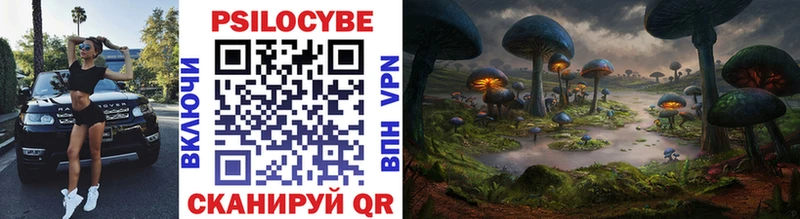 Галлюциногенные грибы Magic Shrooms  хочу наркоту  Суджа 